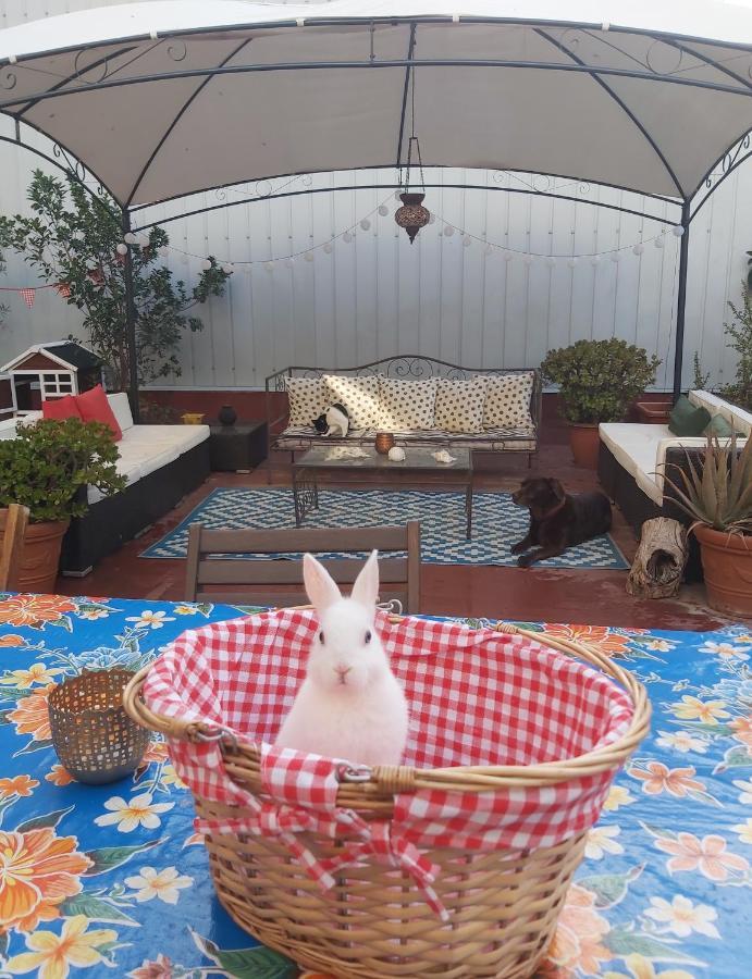 Small Room In Sants With Huge Terrace Βαρκελώνη Εξωτερικό φωτογραφία